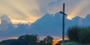 social-20200226230847