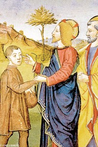 parabola-giovane-ricco (1)