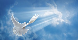 holy-spirit-dove-min